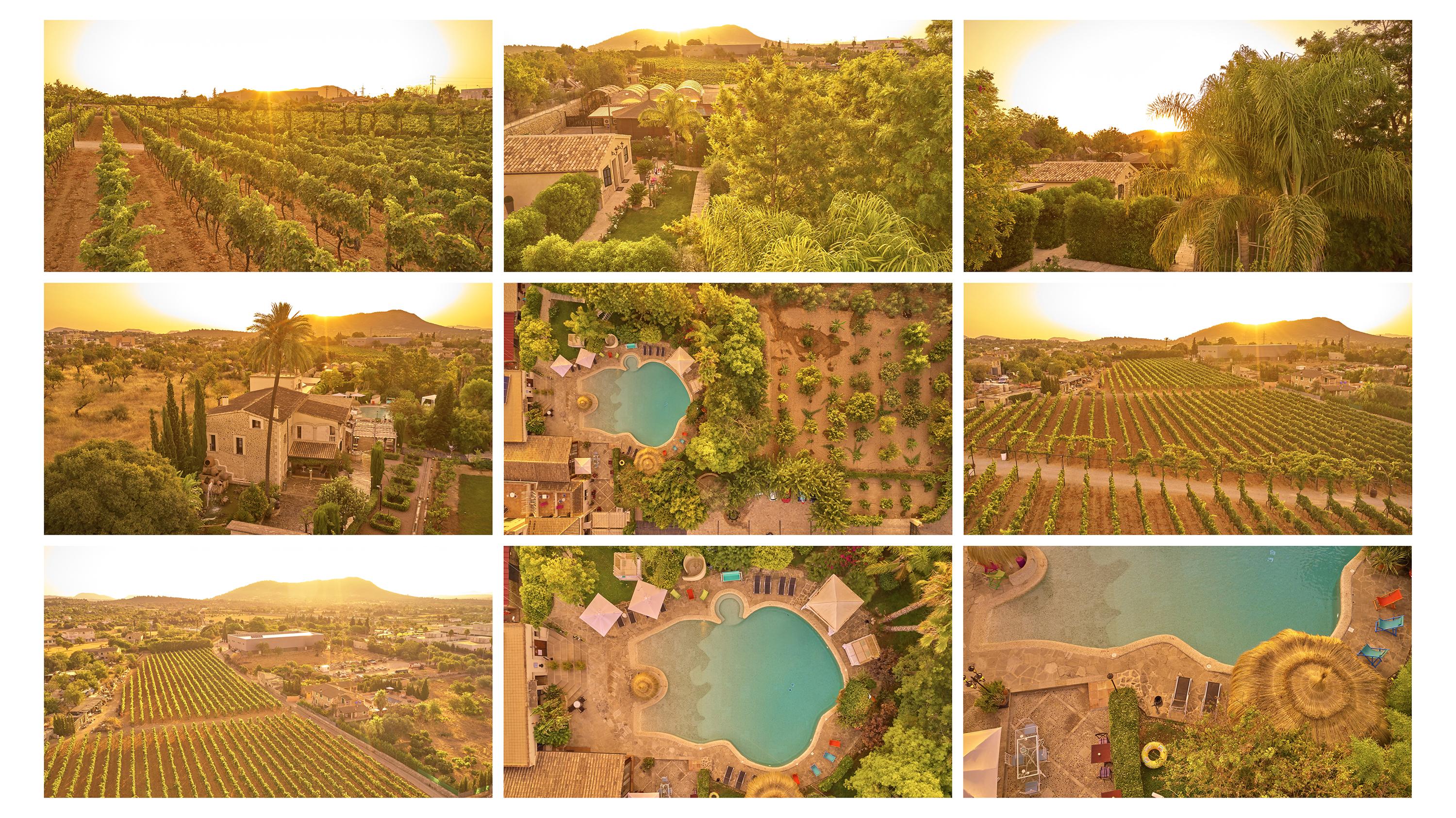 Agroturismo Sa Vinya Des Convent อินคา ภายนอก รูปภาพ